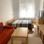 Rent 2 bedroom apartment of 47 m² in Budapest