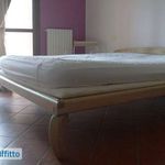Rent 2 bedroom apartment of 46 m² in Castel Maggiore