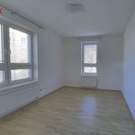 Rent 2 bedroom apartment of 47 m² in Pilsen