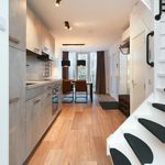 Rent 1 bedroom apartment of 49 m² in Alkmaar
