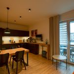Rent 2 bedroom apartment of 39 m² in Katowice