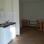 Rent 2 bedroom apartment of 25 m² in Langeac