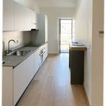 Rent 4 bedroom apartment of 70 m² in Torino