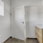 Rent 1 bedroom apartment in Tjæreborg