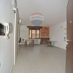 Affitto 1 camera appartamento di 48 m² in Ferrara