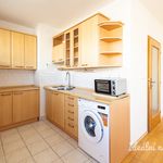 Rent 1 bedroom apartment in Praha 7