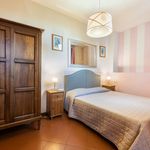 Rent 1 bedroom apartment of 24 m² in Florence