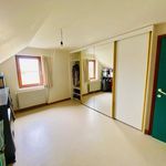 Rent 4 bedroom house in Leuze-en-Hainaut