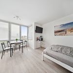 Rent 1 bedroom apartment of 21 m² in Magdeburg
