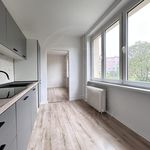Rent 2 bedroom apartment of 55 m² in Chodov