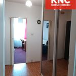 Rent 2 bedroom apartment of 50 m² in Bełchatów