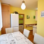 Rent 3 bedroom apartment of 85 m² in Budweis