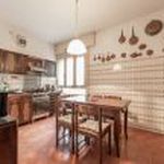 Rent 1 bedroom apartment of 18 m² in Padova