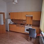Rent 1 bedroom apartment of 56 m² in Újezd