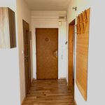 Rent 2 bedroom apartment of 32 m² in Uherské Hradiště