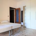 Rent 3 bedroom house of 110 m² in Catanzaro