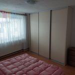Rent 2 bedroom apartment of 65 m² in Píšťany