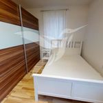 Rent 2 bedroom apartment of 47 m² in Plzeň