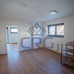 Rent 2 bedroom apartment of 42 m² in Brno