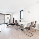 Rent 3 bedroom apartment of 115 m² in Praha