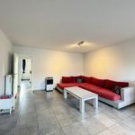 Rent 2 bedroom apartment of 1 m² in Maldegem