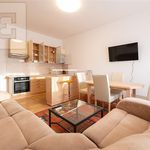 Rent 1 bedroom apartment of 100 m² in Brno