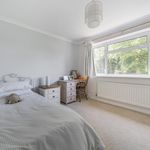 Rent 4 bedroom house of 95 m² in Windsor