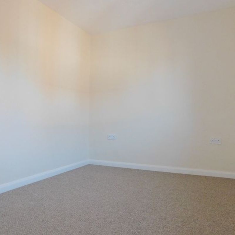 2 room house to let in Bedford Clapham