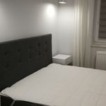 Rent 2 bedroom apartment of 45 m² in Konin