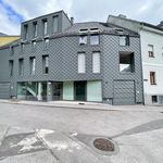 Rent 2 bedroom apartment of 36 m² in Linz