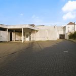 Rent 1 bedroom house of 350 m² in Ternat