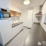 Rent 1 bedroom apartment in Borsbeek