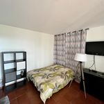 Rent 1 bedroom apartment of 25 m² in Mougins