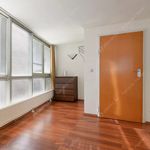 Rent 4 bedroom apartment of 140 m² in Budapest