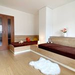 Rent 3 bedroom apartment of 71 m² in Číhošť