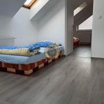 Rent 4 bedroom apartment of 80 m² in Zichovec