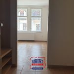 Rent 1 bedroom apartment of 49 m² in České Budějovice