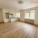 Rent 1 bedroom apartment of 30 m² in Havířov