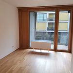 Rent 2 bedroom apartment of 62 m² in Wien