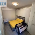 Rent 2 bedroom house of 70 m² in Viareggio