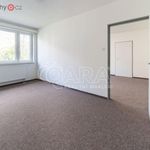Rent 3 bedroom apartment of 67 m² in Chrudim