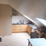 Rent 1 bedroom apartment in Oud-Heverlee
