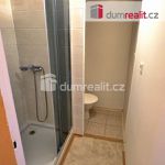 Rent 1 bedroom apartment of 36 m² in Roudnice nad Labem