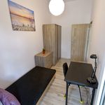 Rent 12 bedroom apartment in Gdansk