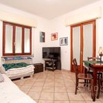 Affitto 4 camera appartamento di 124 m² in Pistoia