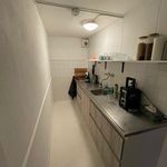 Rent 1 bedroom house of 54 m² in Dieren