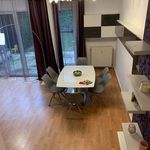 Rent 3 bedroom apartment of 150 m² in Ukkel