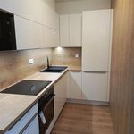 Rent 1 bedroom apartment of 47 m² in Ceské Budejovice