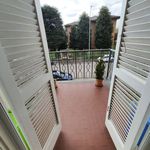 Rent 1 bedroom apartment of 45 m² in Pavia