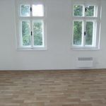 Pronajměte si 1 ložnic/e byt o rozloze 25 m² v Liberec